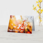 Apricot Sakura Blume vor dem Hintergrund der Sonne Karte (Gelbe Blume)