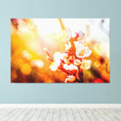 Apricot Sakura Blume vor dem Hintergrund der Sonne Leinwanddruck (Insitu (Holzboden))