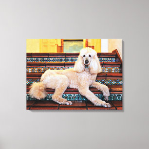 Apricot Standard Poodle - Bocelli Leinwanddruck
