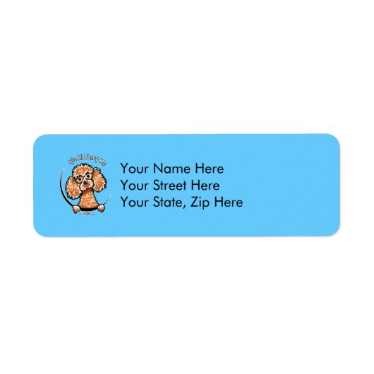 Apricot Toy Miniature Poodle IAAM (Vorne)