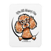 Apricot Toy Miniature Poodle IAAM Magnet (Vertikal)