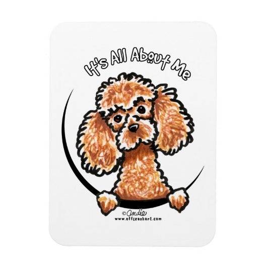 Apricot Toy Miniature Poodle IAAM Magnet (Vertikal)