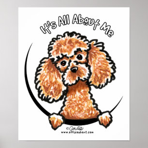 Apricot Toy Miniature Poodle IAAM Poster