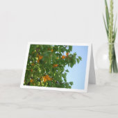 Apricot Tree Blue Sky Portrait Karte (Vorderseite)