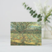 Apricot Trees in Blossom, Vincent van Gogh Postkarte (Stehend Vorderseite)