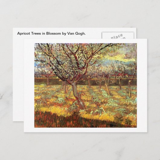 Apricot Trees in Blossom von Van Gogh Postkarte (Vorne/Hinten)