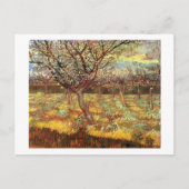 Apricot Trees in Blossom von Van Gogh Postkarte (Vorderseite)
