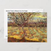 Apricot Trees in Blossom von Van Gogh Postkarte (Vorne/Hinten)