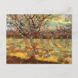 Apricot Trees in Blossom von Van Gogh Postkarte