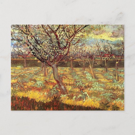Apricot Trees in Blossom von Van Gogh Postkarte (Vorderseite)