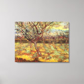 Apricot Trees in Blossom von Vincent van Gogh Leinwanddruck (Vorderseite)