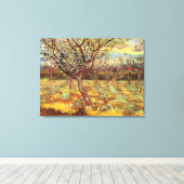 Apricot Trees in Blossom von Vincent van Gogh Leinwanddruck (Insitu (Holzboden))