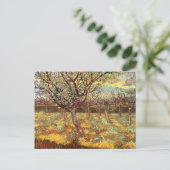 Apricot Trees in Blossom von Vincent van Gogh Postkarte (Stehend Vorderseite)