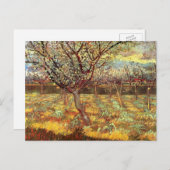 Apricot Trees in Blossom von Vincent van Gogh Postkarte (Vorne/Hinten)