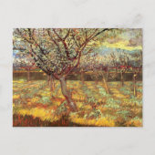 Apricot Trees in Blossom von Vincent van Gogh Postkarte (Vorderseite)