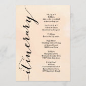 Apricot Wedding Willkommensbrief & Reisekarte Programm (Rückseite)