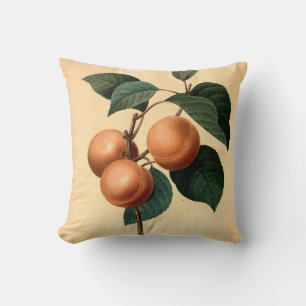 Apricots Botanische Illustration Kissen