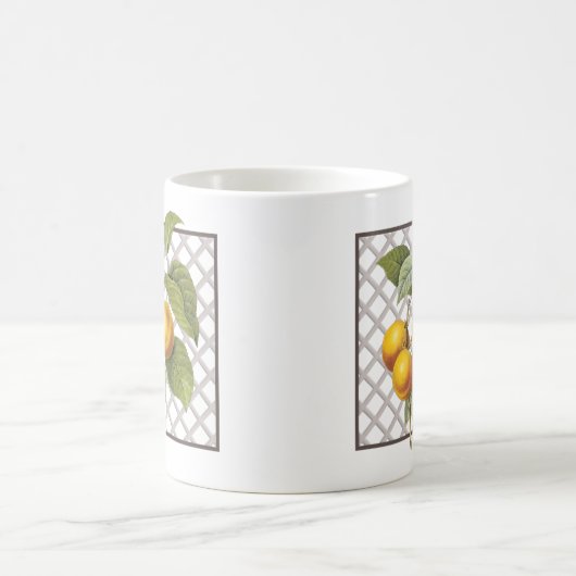 APRICOTS KAFFEETASSE (Mittel)