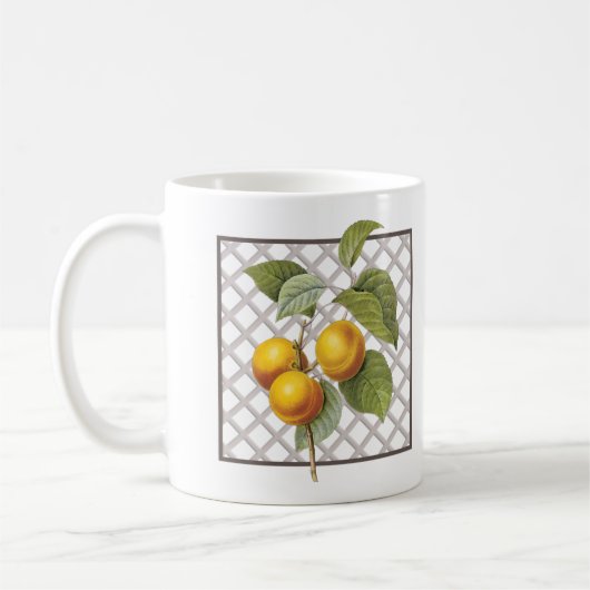 APRICOTS KAFFEETASSE (Links)