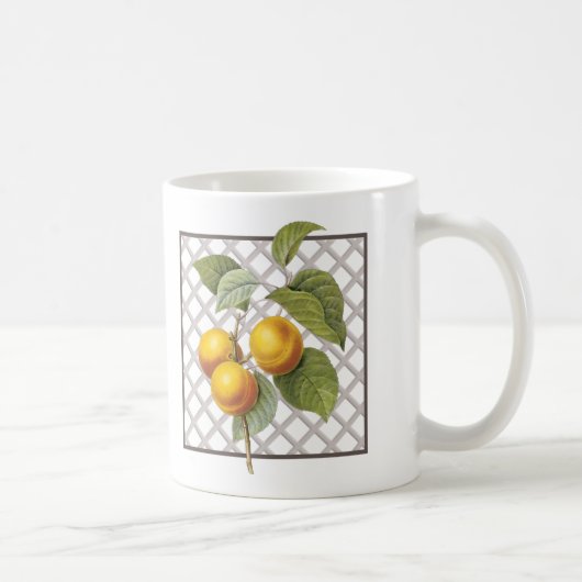 APRICOTS KAFFEETASSE (Rechts)