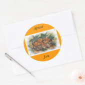 APRICOTS RUNDER AUFKLEBER (Umschlag)