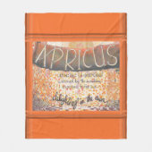 Apricus Fleecedecke (Vorderseite)