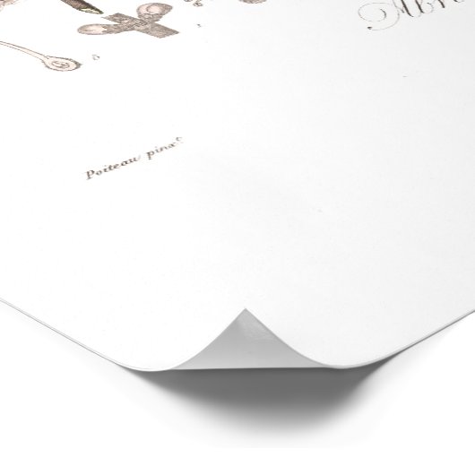 Aprikose, Frühe Aprikose Poster (Ecke)