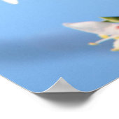 Aprikose Poster (Ecke)