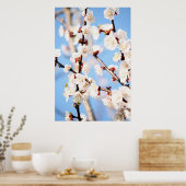 Aprikose Poster (Küche)