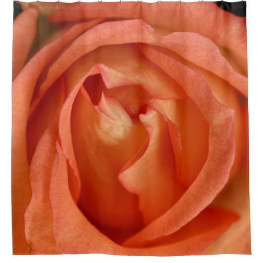 Aprikose Rose Duschvorhang (Vorderseite)