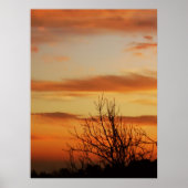 Aprikose-Skyscapes Poster (Vorne)