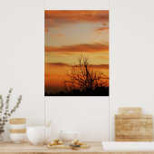 Aprikose-Skyscapes Poster (Küche)