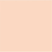 Aprikose (Vollfarbe) Aufkleber (Vorderseite)