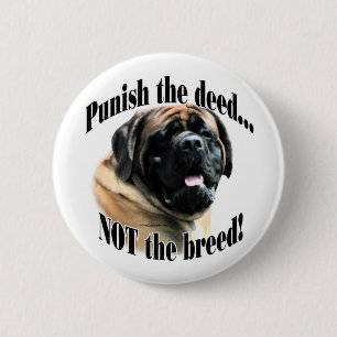 AprikoseMastiff bestrafen den Brief-Knopf Button