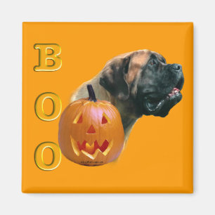 AprikoseMastiffboo-Magnet Magnet
