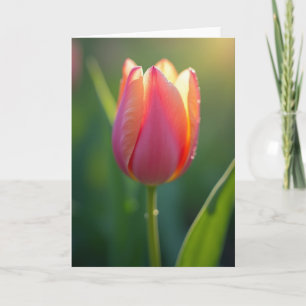 Aprikosen Blumen Mütter Karte