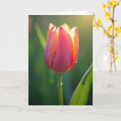 Aprikosen Blumen Mütter Karte (Gelbe Blume)