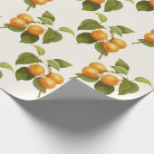 Aprikosen-Druck Geschenkpapier (Ecke)