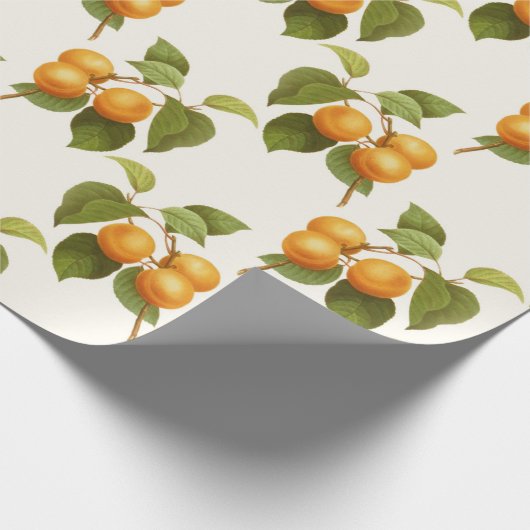 Aprikosen-Druck Geschenkpapier (Ecke)