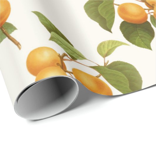 Aprikosen-Druck Geschenkpapier (Rolleneckpunkt)