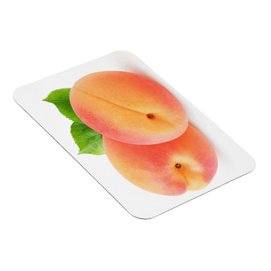 Aprikosen, frisch magnet (Rechte Seite)