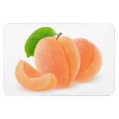 Aprikosen, frisch magnet (Horizontal)