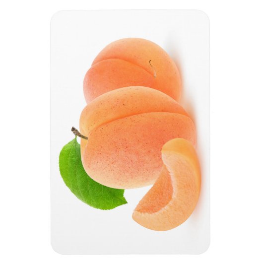 Aprikosen, frisch magnet (Vertikal)