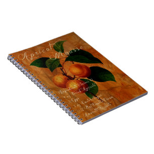 Aprikosen-Kremeis Notizblock