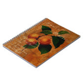 Aprikosen-Kremeis Notizblock (Linke Seite)