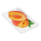 Aprikosen kürzen magnet (Rechte Seite)