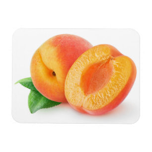 Aprikosen kürzen magnet