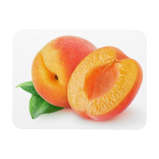Aprikosen kürzen magnet (Horizontal)