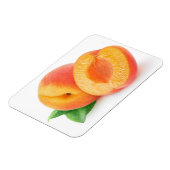 Aprikosen kürzen magnet (Linke Seite)