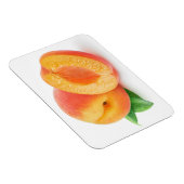 Aprikosen kürzen magnet (Rechte Seite)